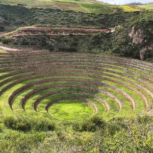 MARAS-MORAY-3 (1)