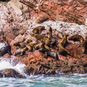 OASIS-DE-HUACACHINA-CON-BUGGIE-12