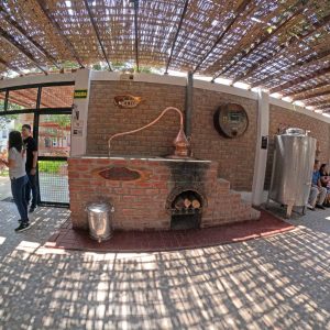 OASIS-DE-HUACACHINA-CON-BUGGIE-9-scaled