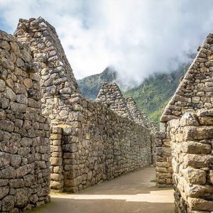 PICCHU-SI-NO-TIENES-ENTRADA-9